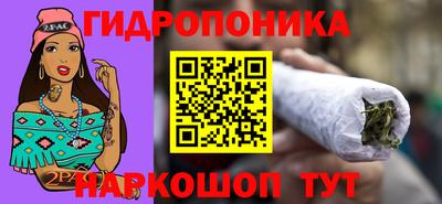 крисы Тверь